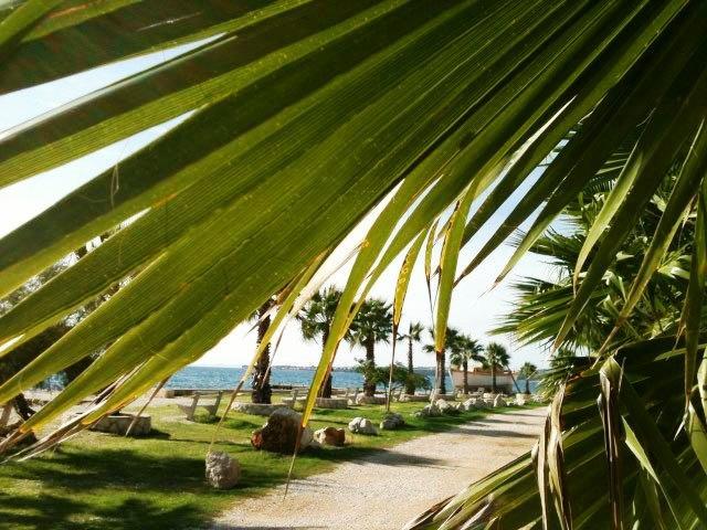 Deby Beach House فير المظهر الخارجي الصورة